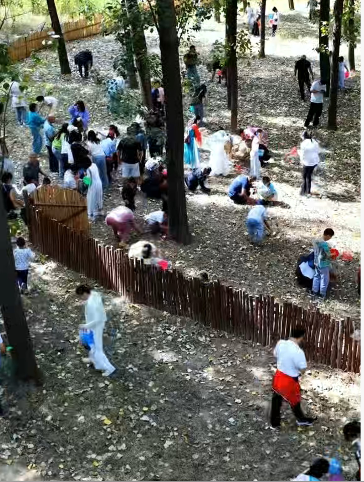 寿光亲子旅游观光