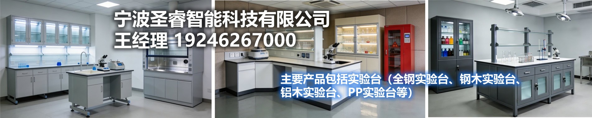 圣睿智能科技边台厂商
