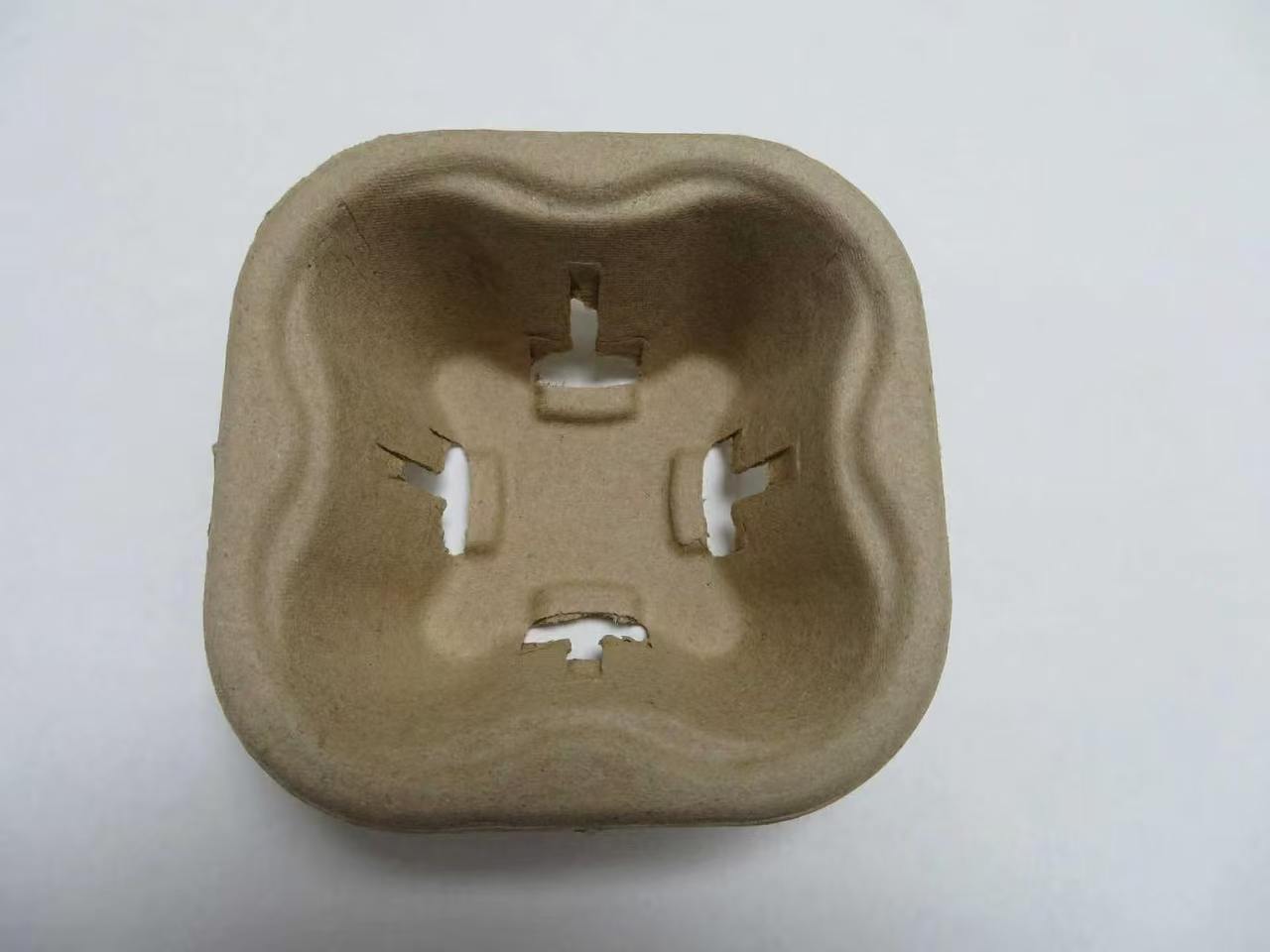 纸浆模塑成型工艺现场