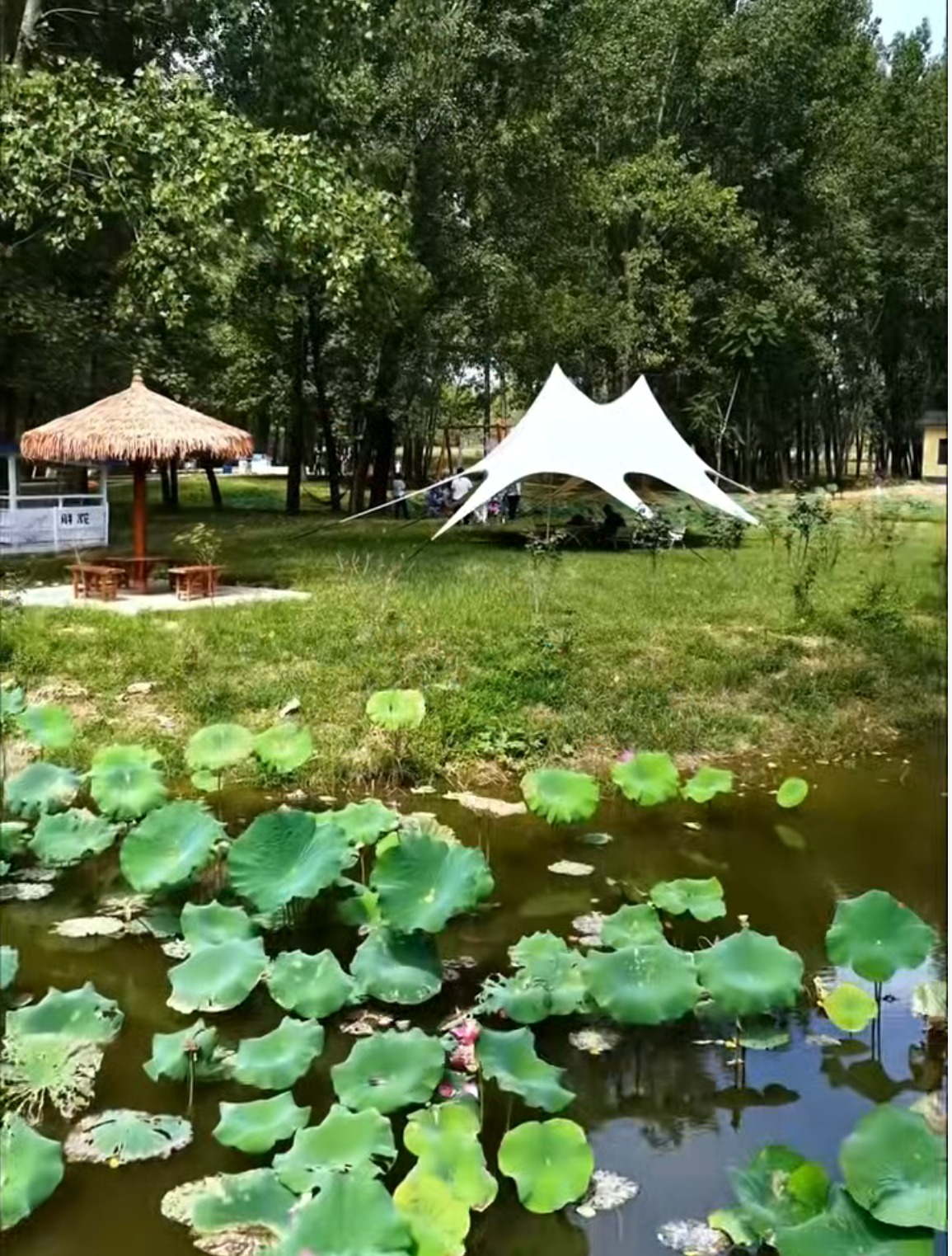 园区水道与景观桥