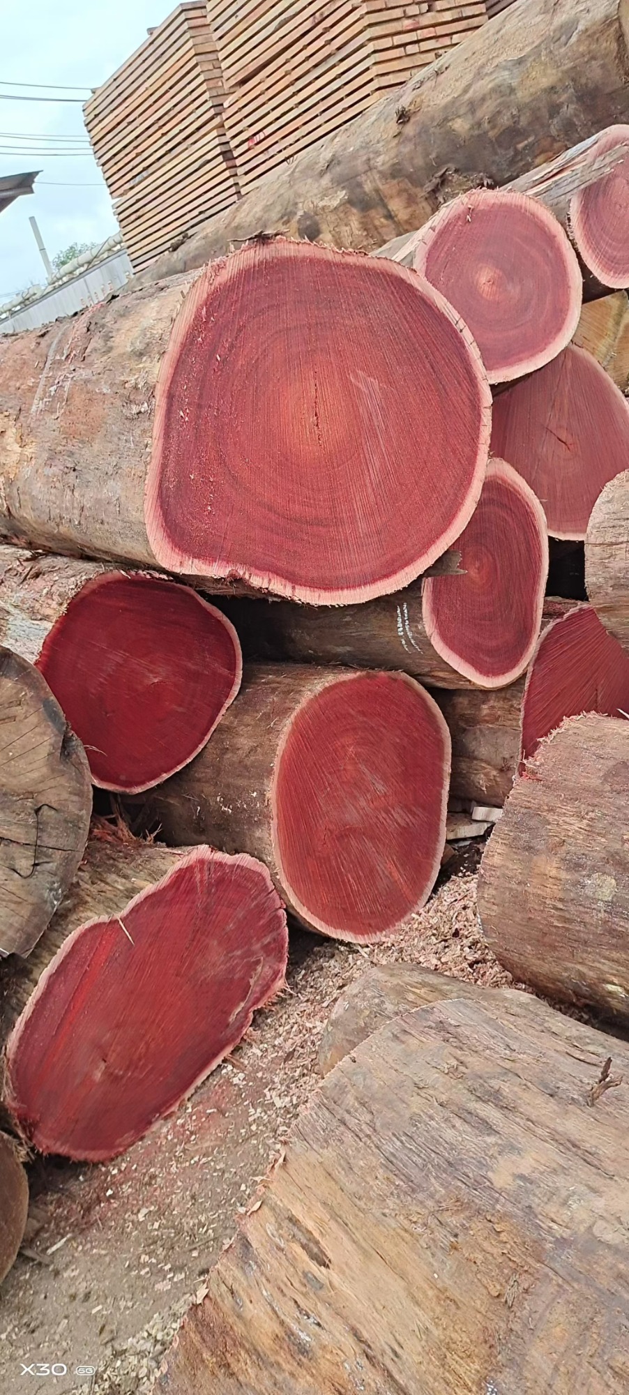 processed timber component