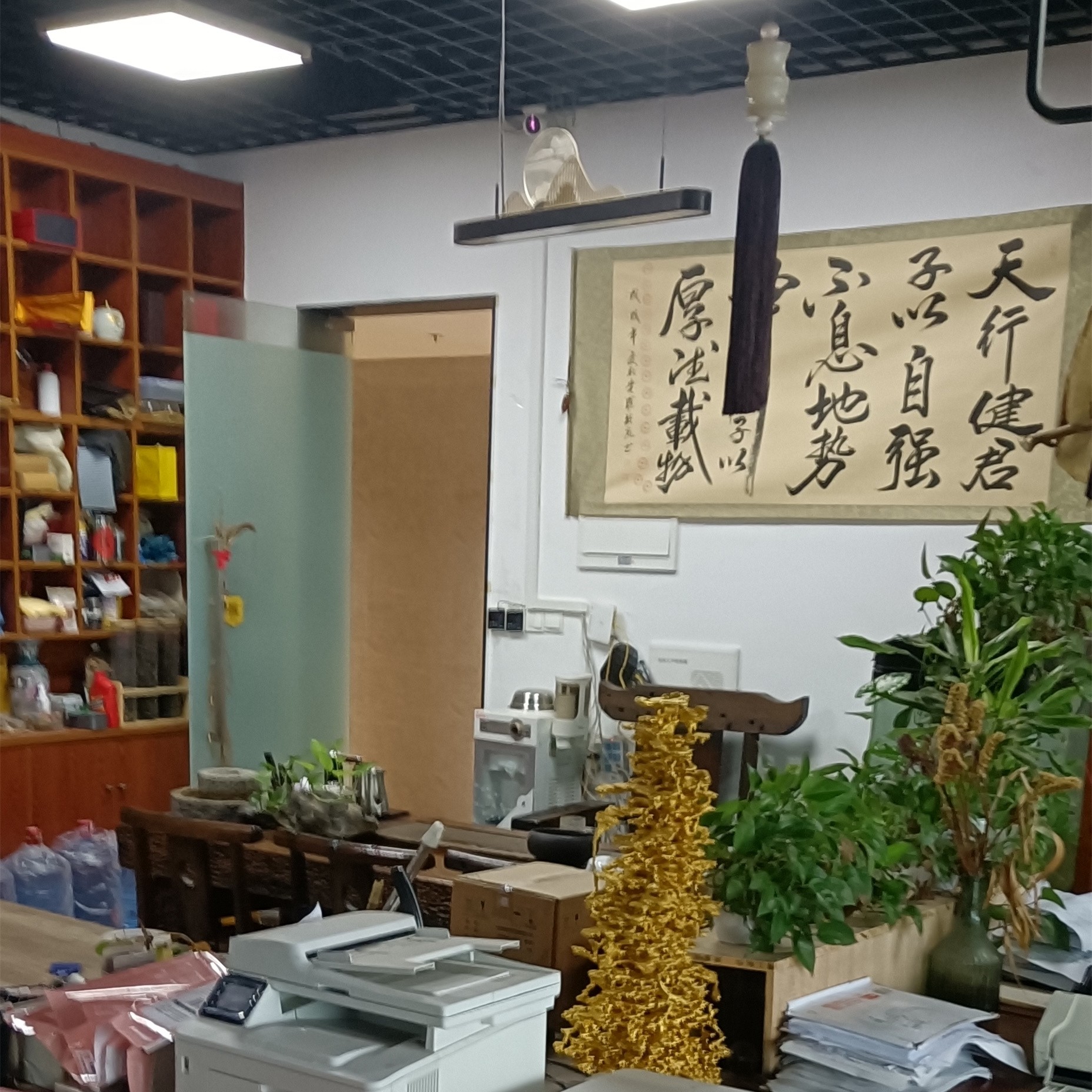 实拍图