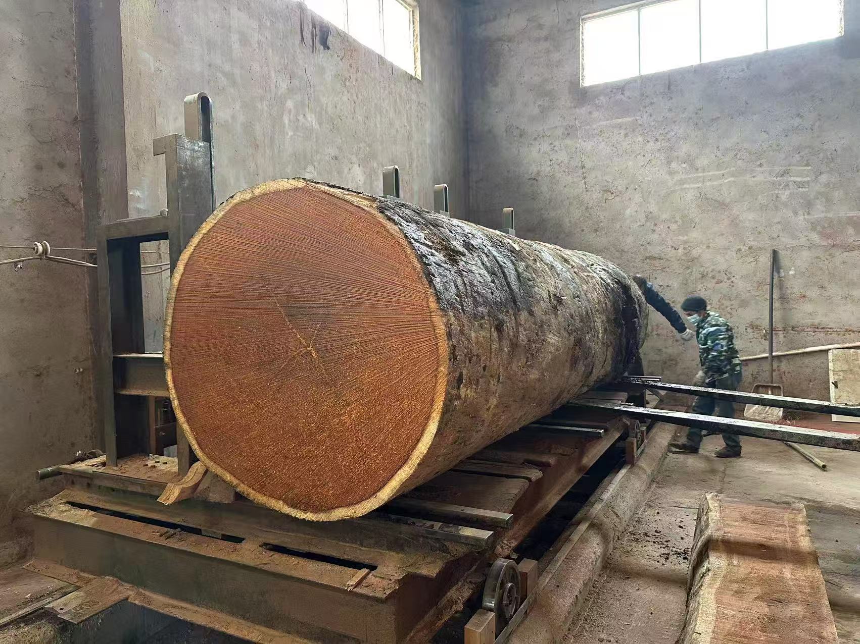 长治柳桉木