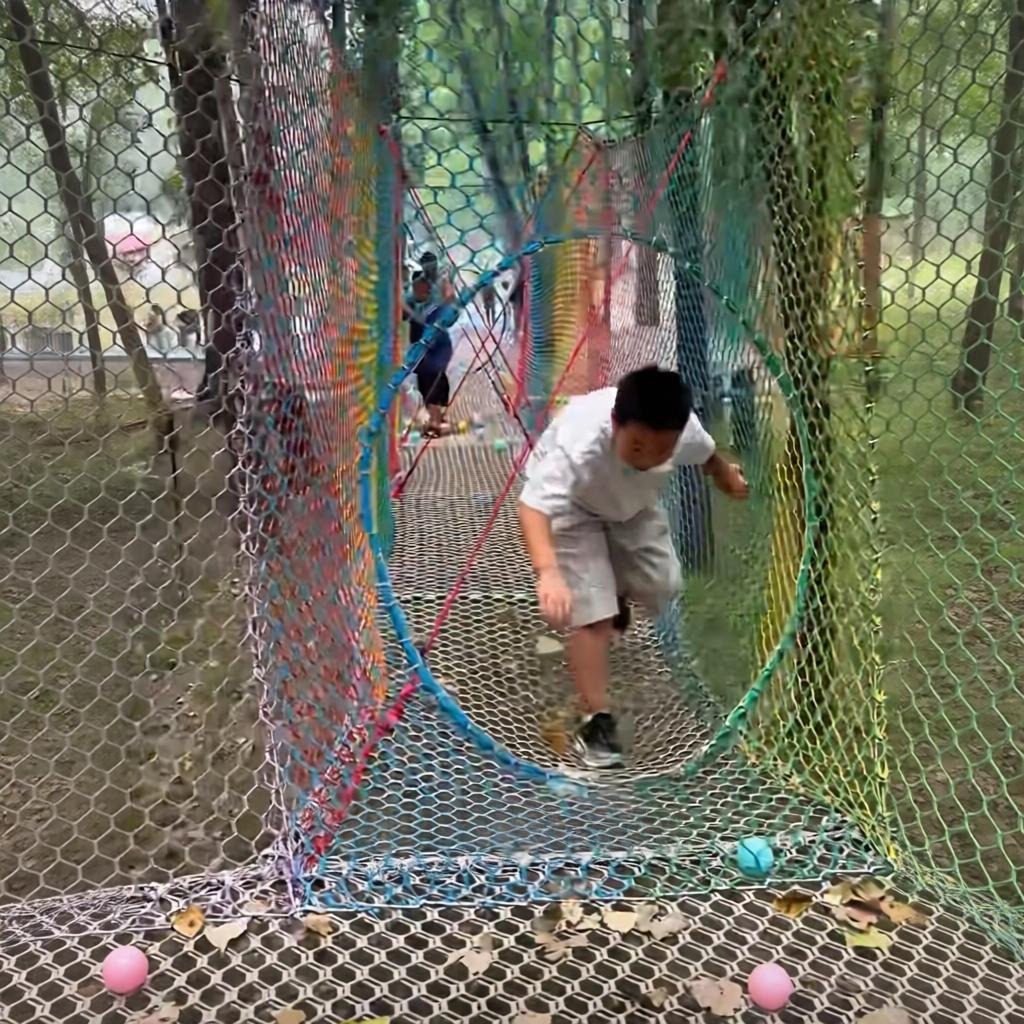 生态景观