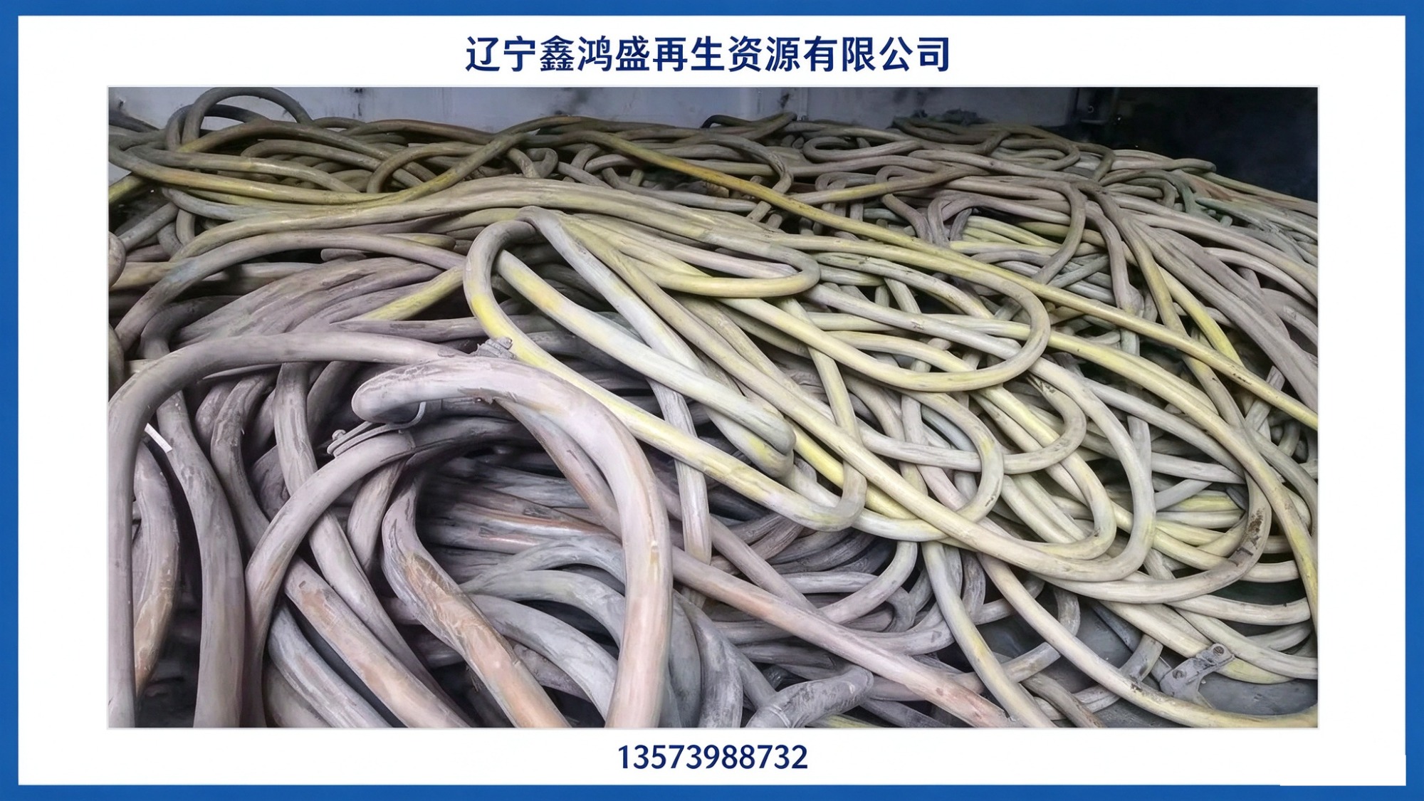 专业服务团队实拍