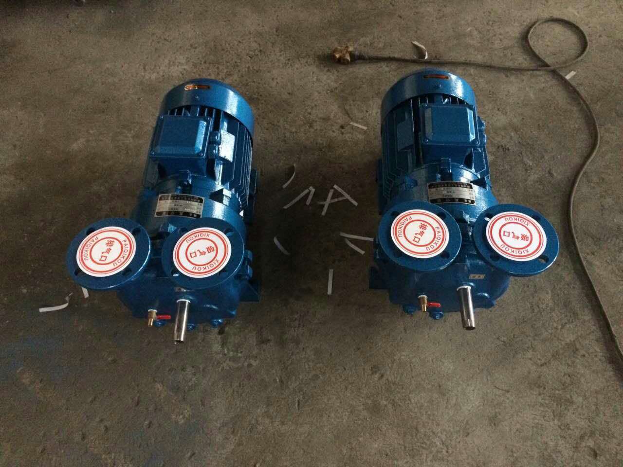Vacuum Pump Industrial Application