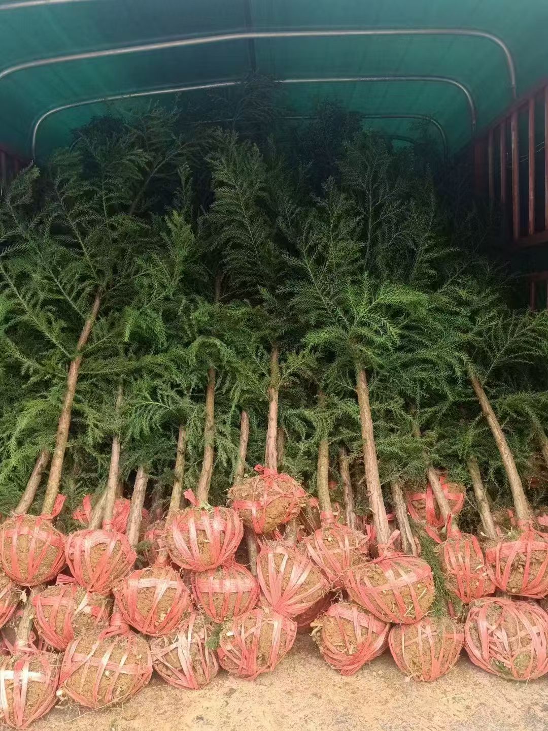 基地规模化供应场景