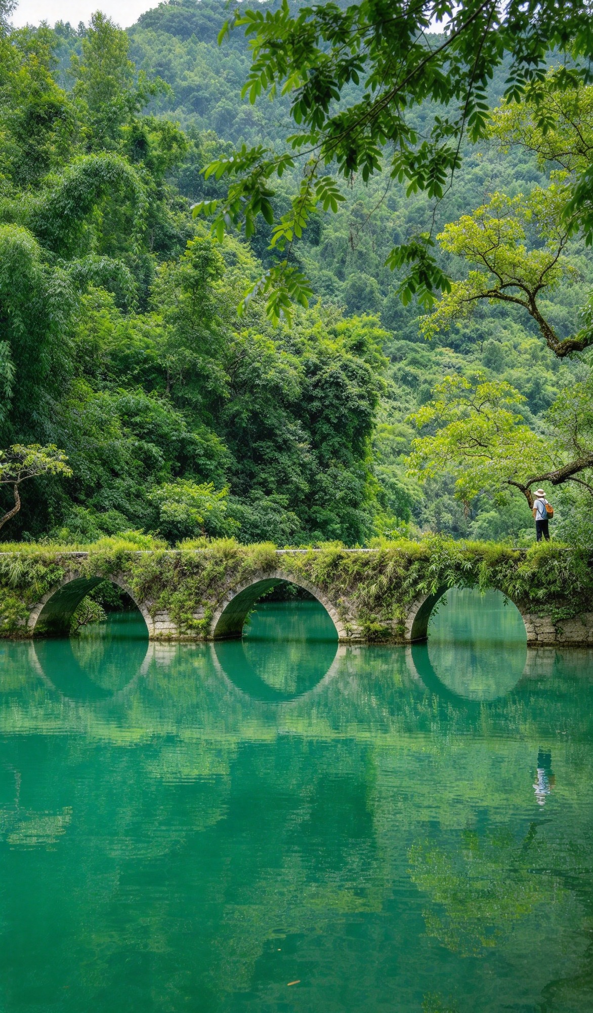 丽江旅行交通保障