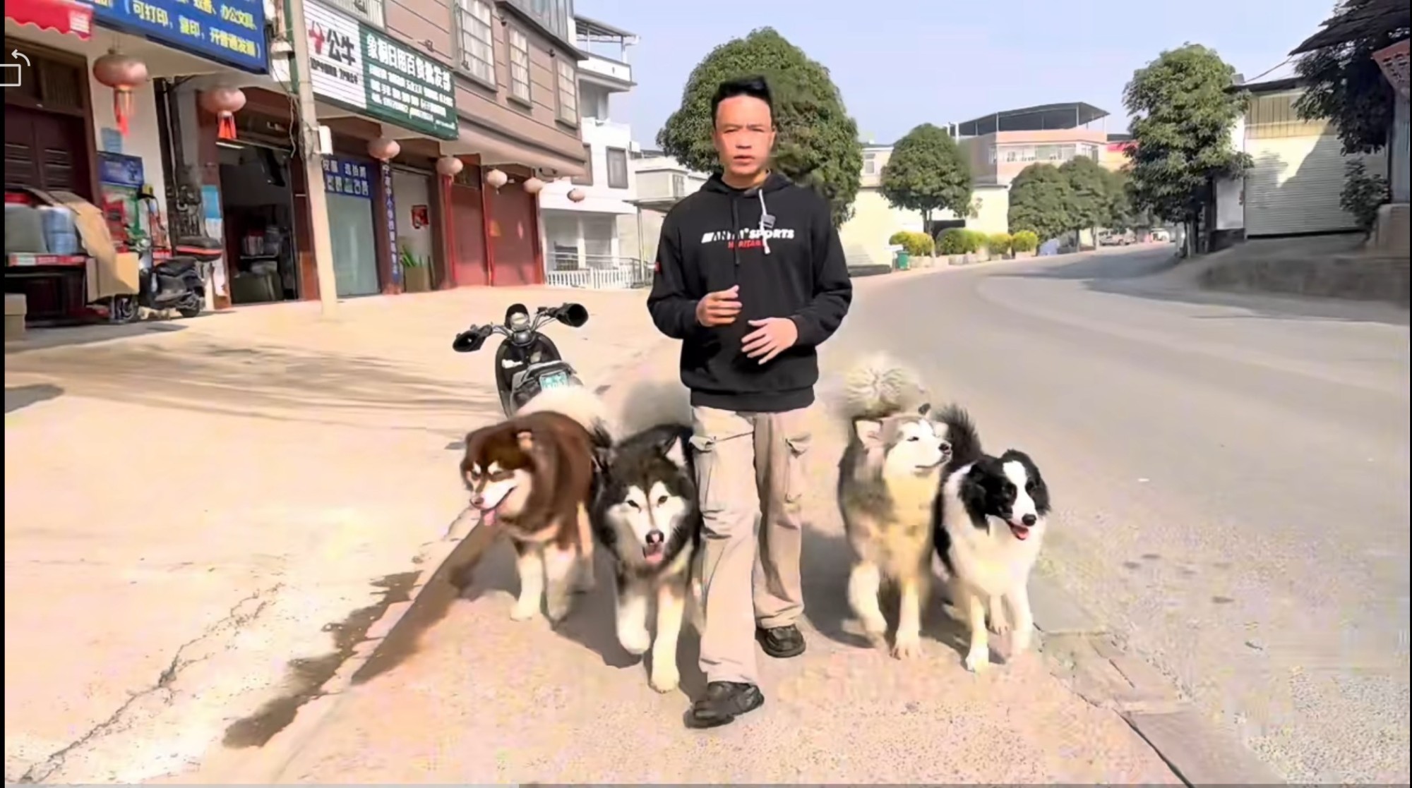 训犬基地实景
