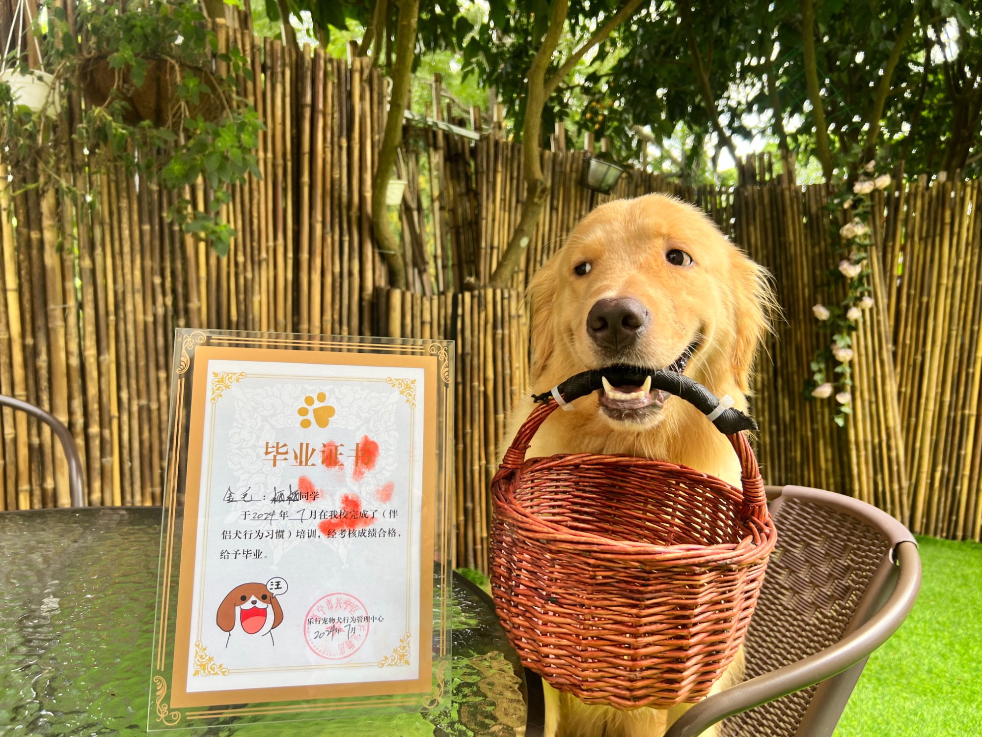 训犬基地实景
