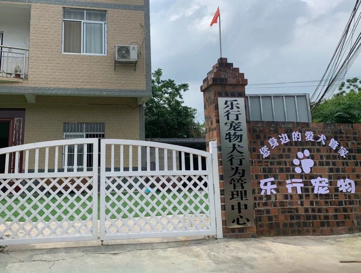训犬场景示意图
