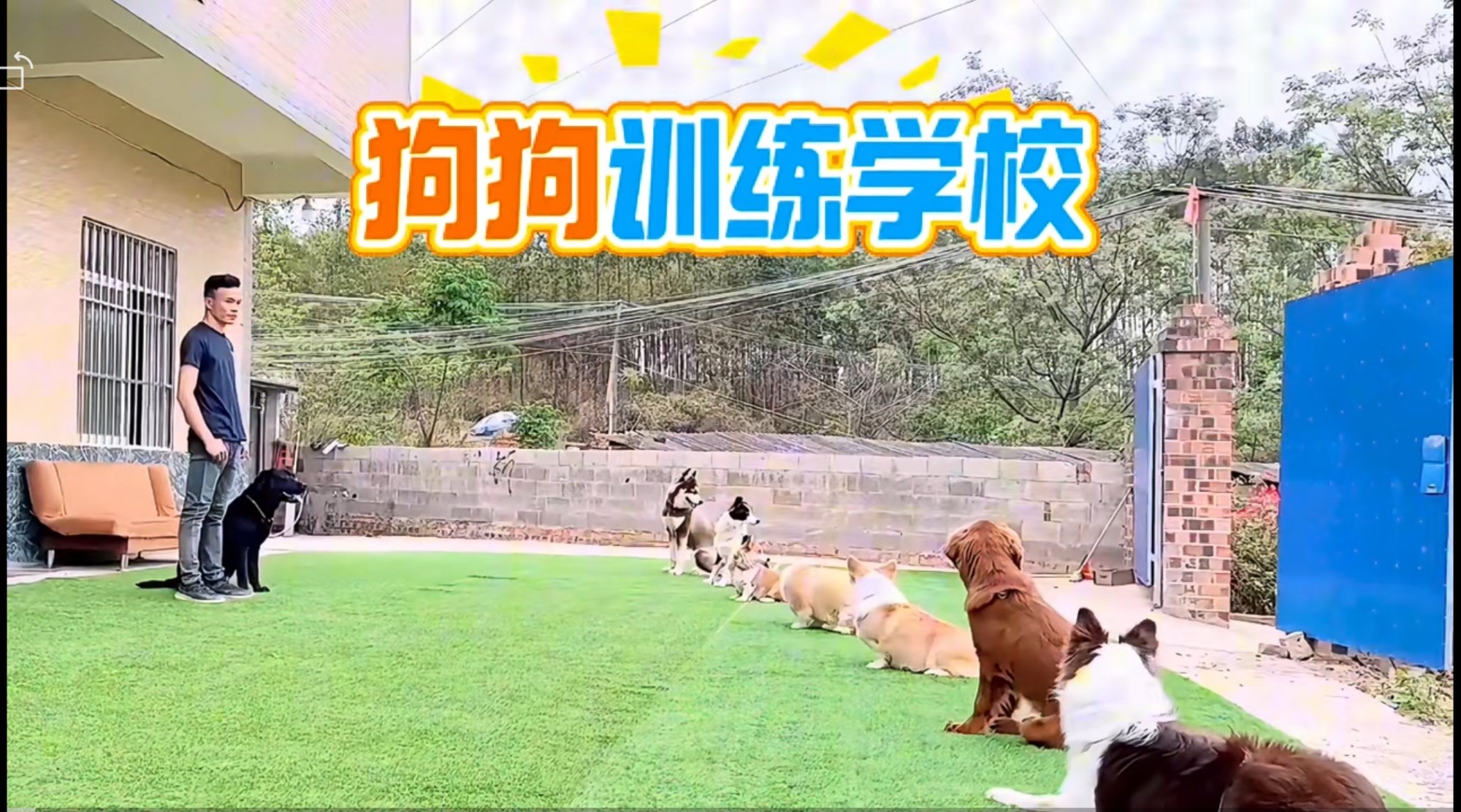 南宁市良庆狗狗行为训练