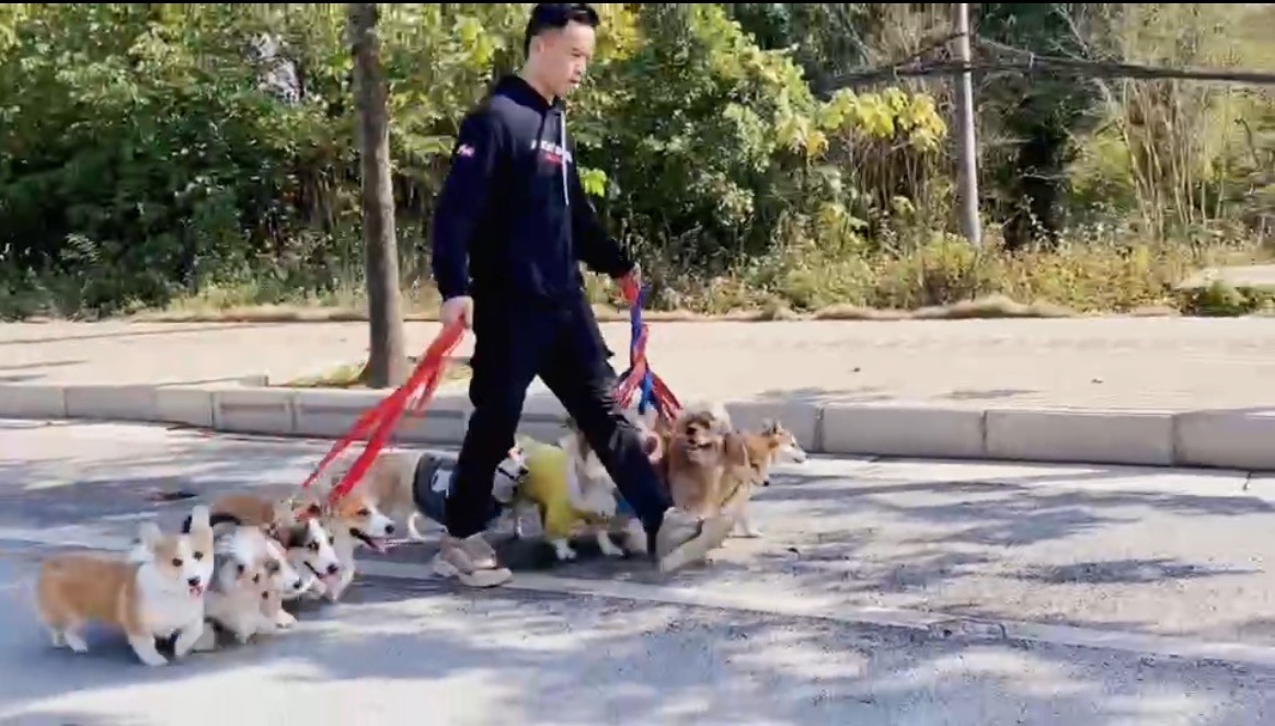 训犬基地实景