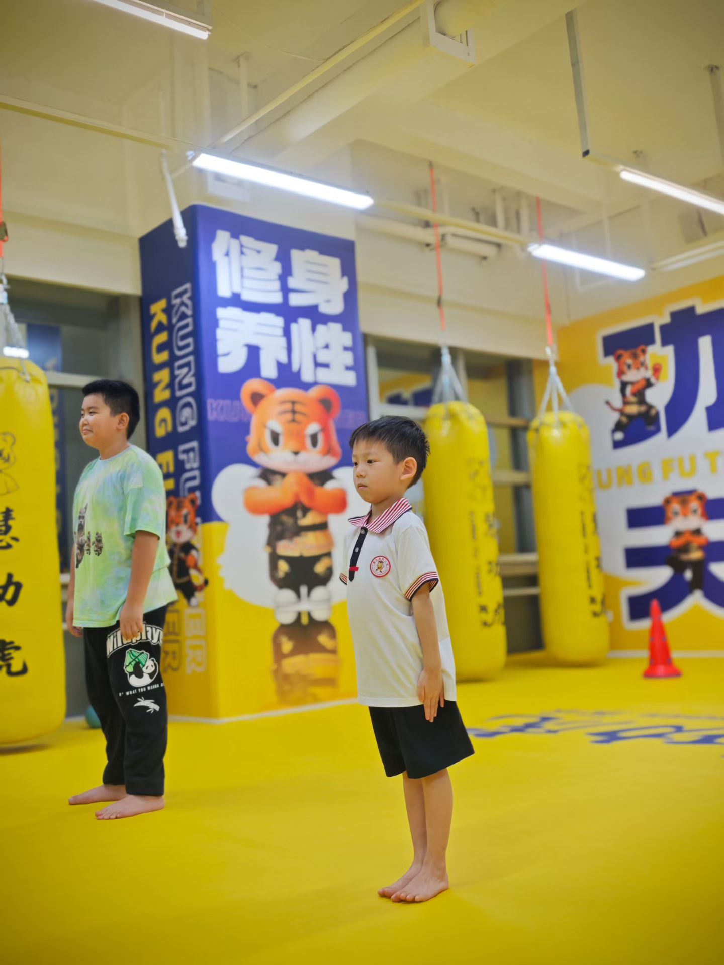 标准化武术课程体系展示