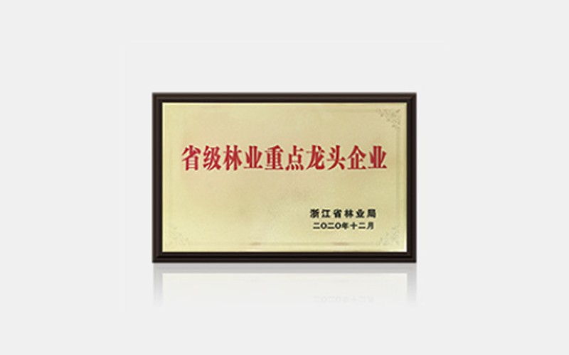 春季系列门业实景图