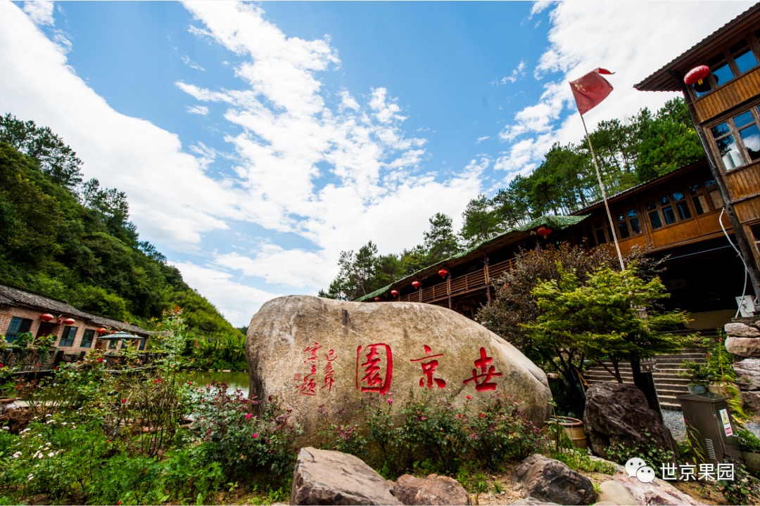 实拍图