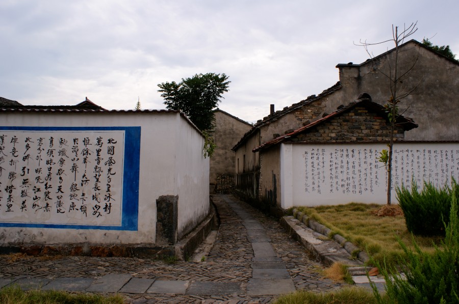 实拍图