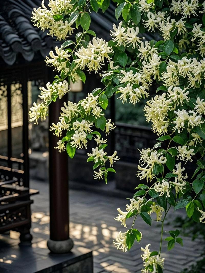 规模化苗圃与标准化发货流程