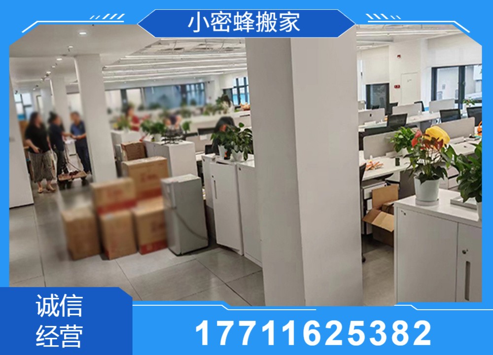 专业化搬运装备展示